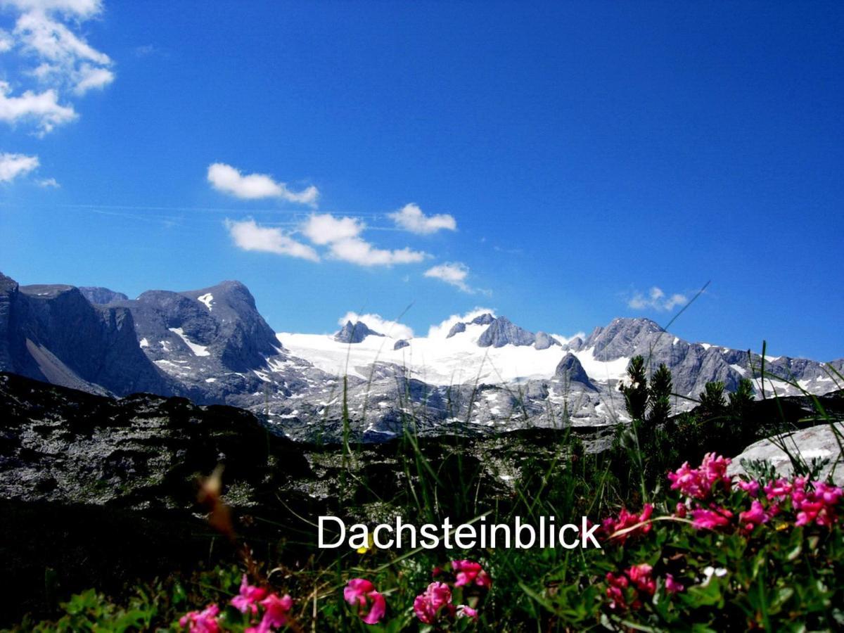 Haus Alpenblick Daire Obertraun Dış mekan fotoğraf