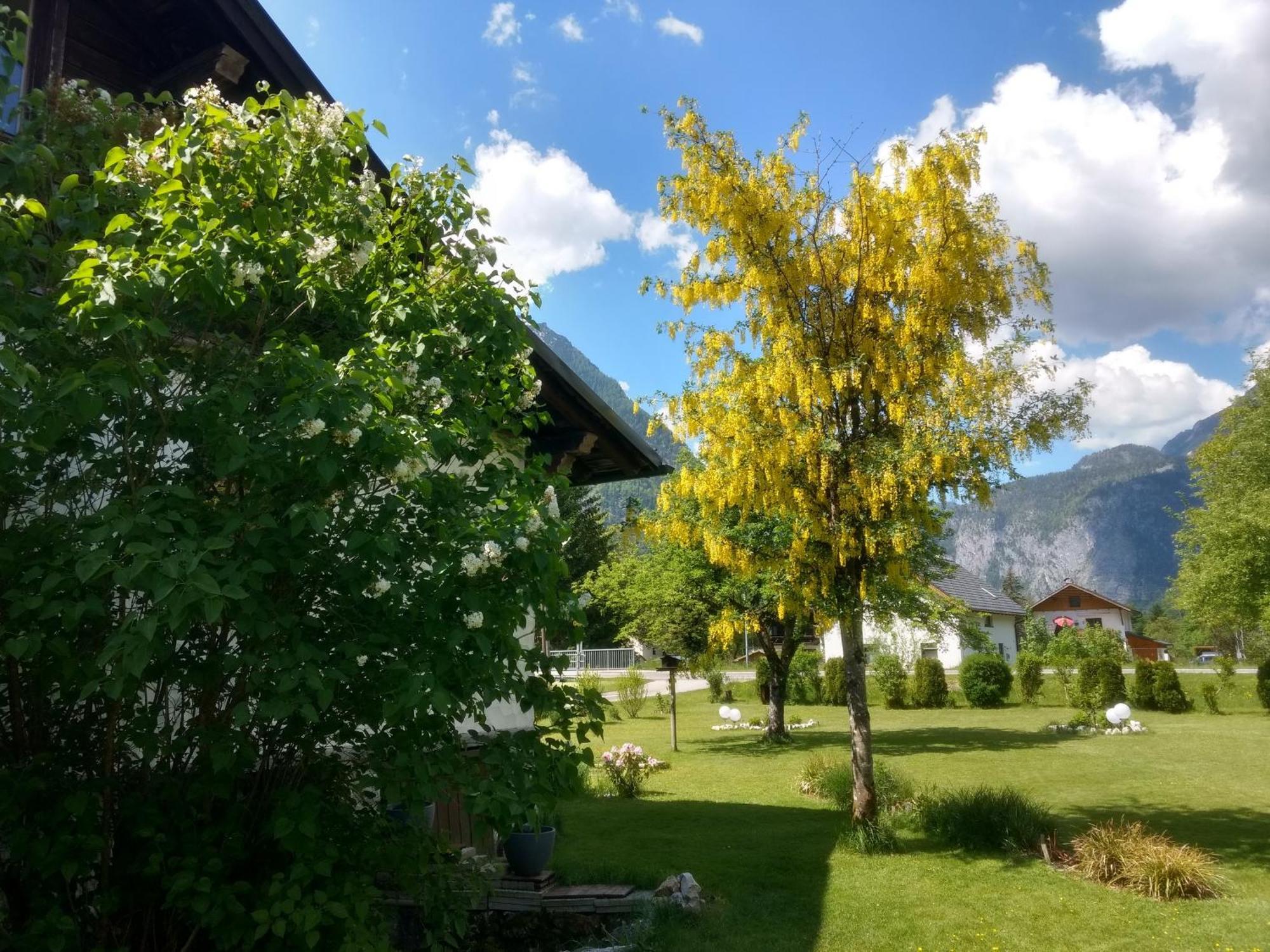 Haus Alpenblick Daire Obertraun Dış mekan fotoğraf