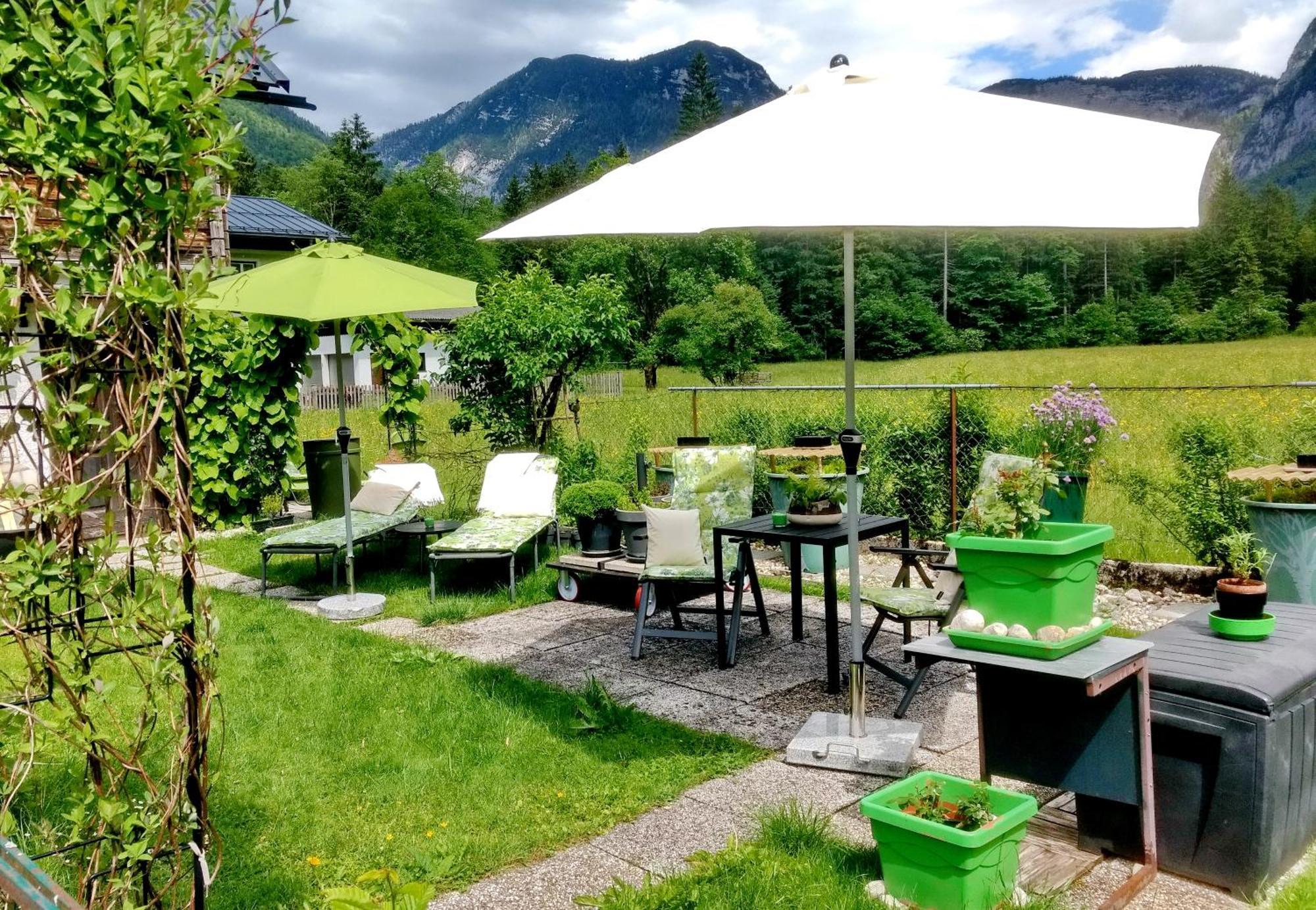 Haus Alpenblick Daire Obertraun Dış mekan fotoğraf